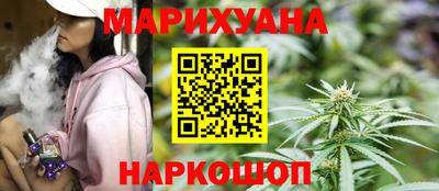 индика Лесосибирск