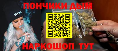 индика Лесосибирск