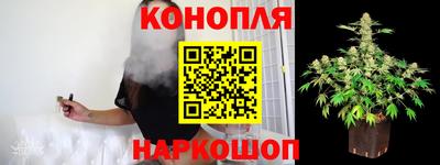 индика Лесосибирск