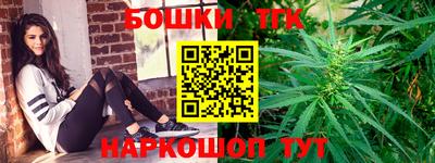 индика Лесосибирск