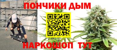 индика Лесосибирск