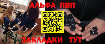 индика Лесосибирск