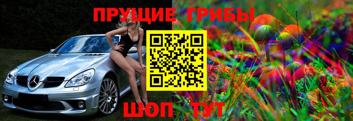Галлюциногенные грибы MAGIC MUSHROOMS  Галлюциногенные грибы мицелий  Иваново  Вход с VPN 